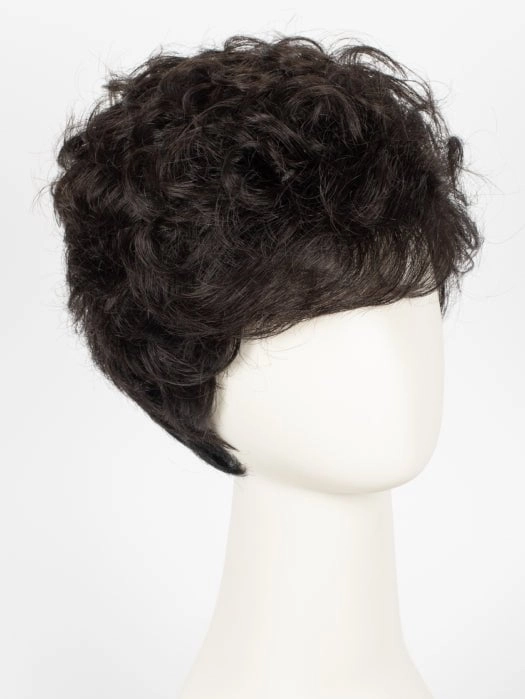 Acclaim | Synthetic Wig (Basic Cap)
