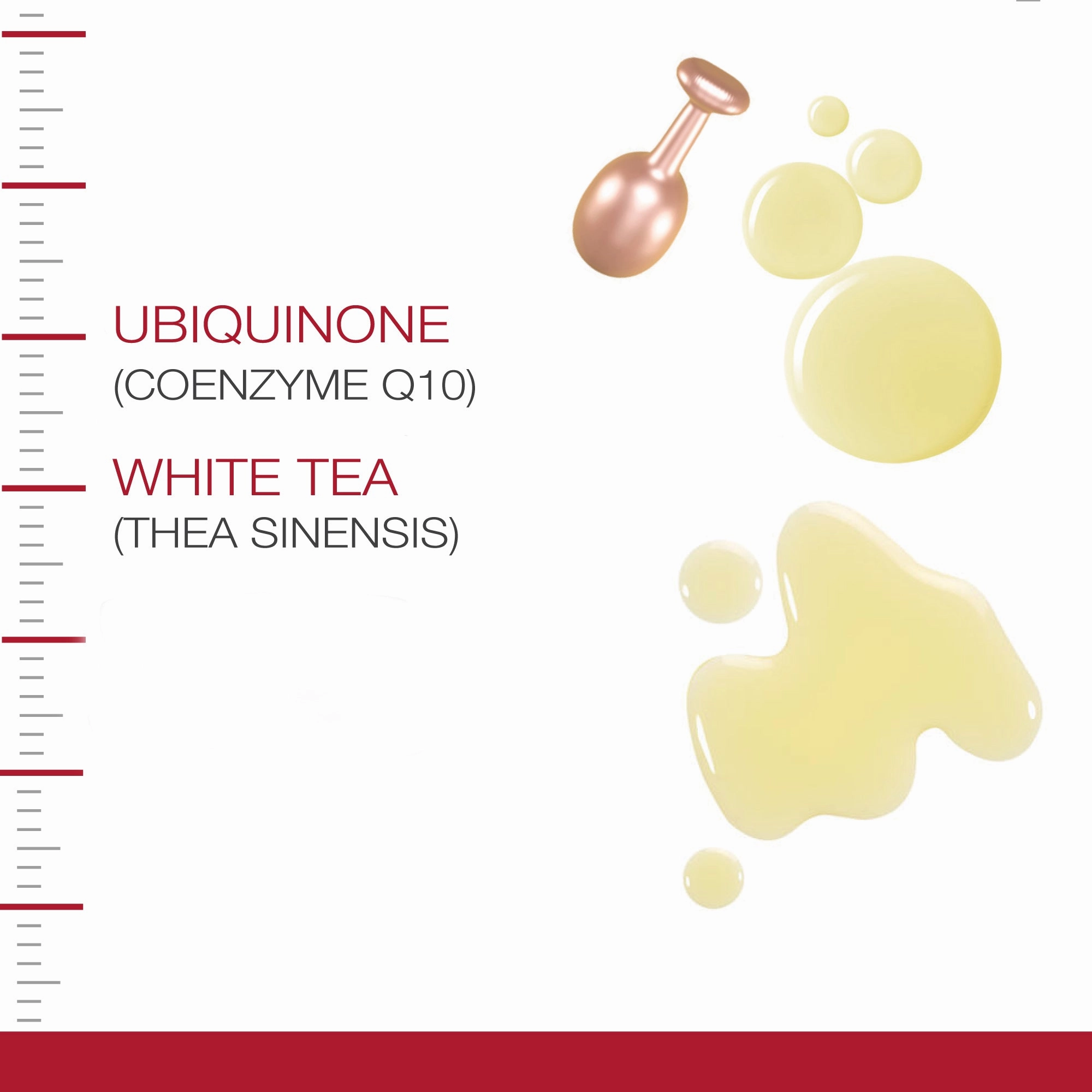Dermastir Twister Coenzyme Q10