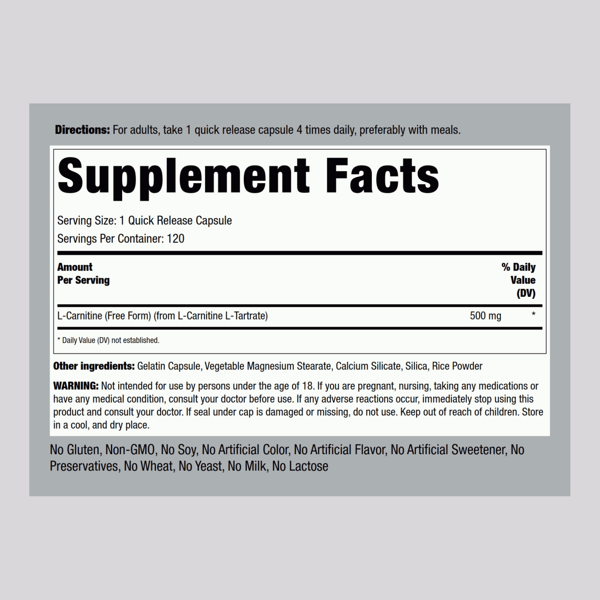 L-Carnitine, 500 mg, 120 Quick Release Capsules, 2  Bottles