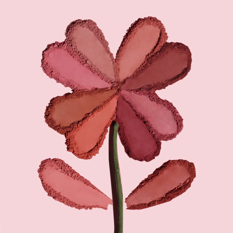 Lucky Chance Blush (009, Monroe)